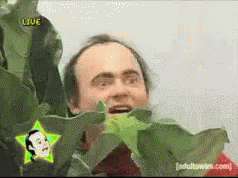 Creepy Guy Behind Plant GIF - Creepy Guy Behind Plant Hide GIFs