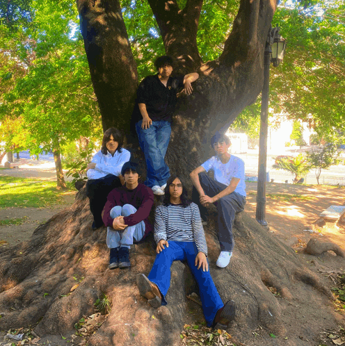 a group of people sitting on a tree trunk in a park