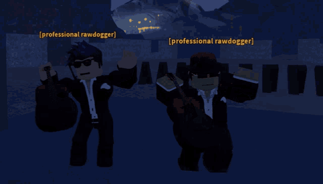 two roblox characters are standing next to each other and one of them is named professional rawdigger