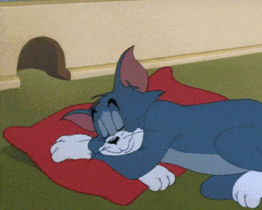 a cartoon cat is laying on a red pillow on the floor