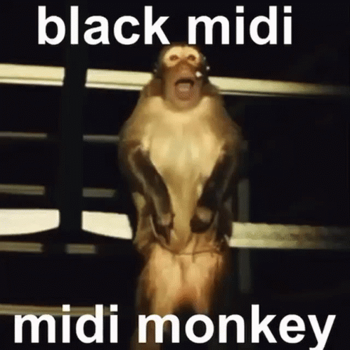 Black Midi Monkey GIF - Black Midi Monkey Sugar Tzu GIFs