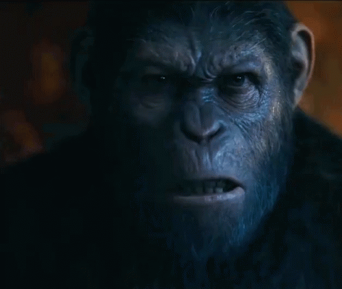 Angry Face GIF - War For The Planet Of The Apes Caesar Andy Serkis GIFs