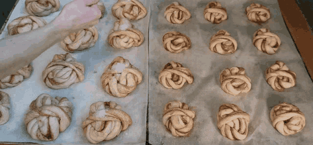 a bunch of rolls are sitting on a tray on a table