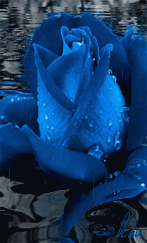 Blue Flower GIF - Blue Flower GIFs