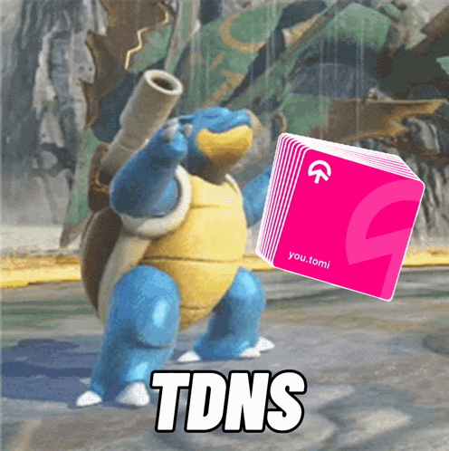 a cartoon turtle is holding a pink box that says you tomi on it