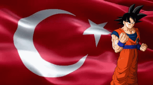 Turkey Goku Goku GIF - Turkey Goku Goku Turkey GIFs