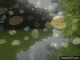 a make a gif.com link is displayed on the bottom of the screen