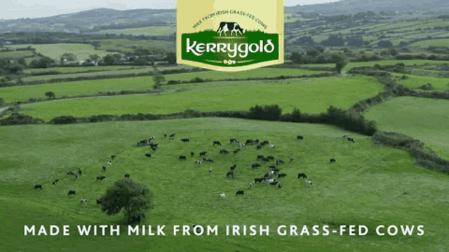 Kerrygold Grass GIF - Kerrygold Grass Grass Fed GIFs