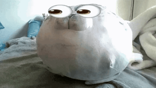 a stuffed animal that looks like a seal with big eyes