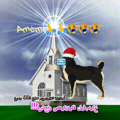 a black and white dog wearing a santa hat and mask