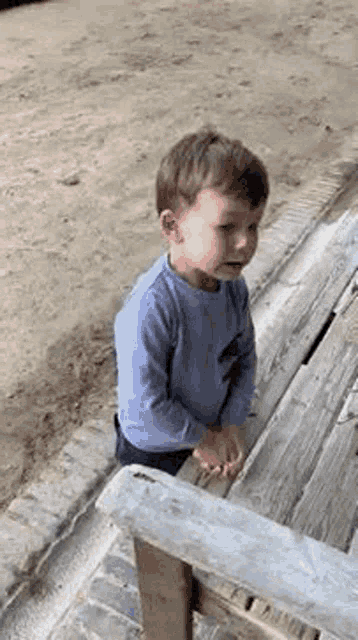 No Oh Hell GIF - No Oh Hell Aww GIFs