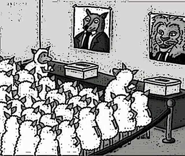 a black and white drawing of sheep in a room