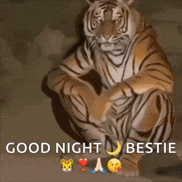a tiger is squatting down with the words good night bestie written below it