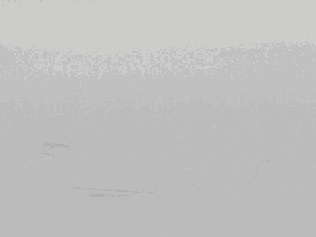 a laptop with the current objective survive written on the screen