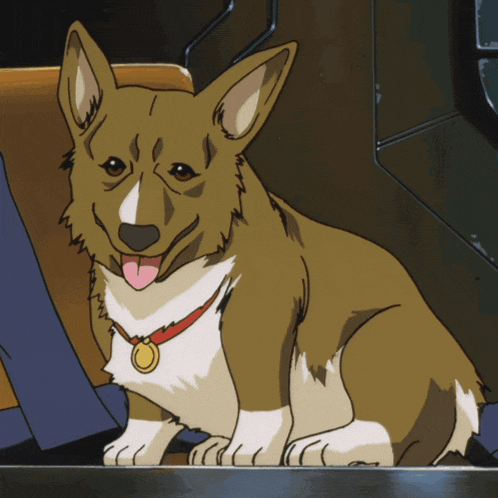 a brown and white dog with a red collar and a gold medal around its neck