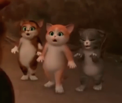 Shocked Kittens GIF - Shocked Kittens Cat GIFs