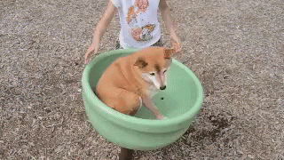 Spin Spinning GIF - Spin Spinning Ride GIFs