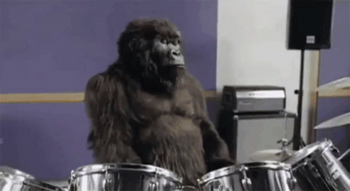 Gorilla Band GIF - Gorilla Band Drum GIFs