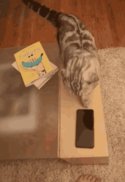 a cat is looking at a phone on a table next to a book about cats