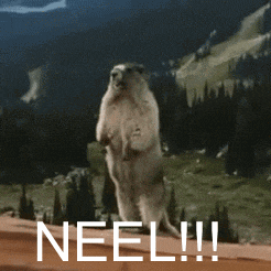 a ground squirrel standing on its hind legs with the word neel written on the bottom