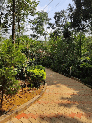 a brick walkway in a lush green forest