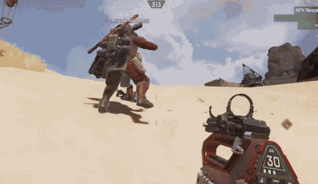 a screenshot of a video game with the number 313 visible