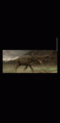 Lord Of GIF