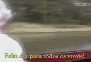 a gif that says feliz dia para todos os vovos