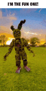 a picture of a bunny with the words " i 'm the fun one " above it