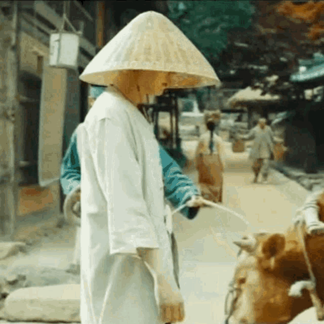 a man wearing a conical hat is watering a cow on a street .