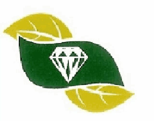 a green and yellow leaf with a white diamond on it .