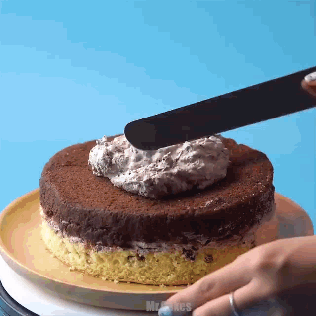 a person is spreading frosting on a chocolate cake with the word mr. cakes below it