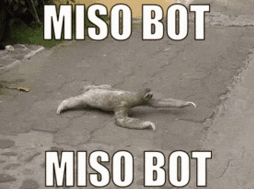 Miso Bot GIF - Miso Bot GIFs