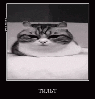 a black and white photo of a cat making a funny face