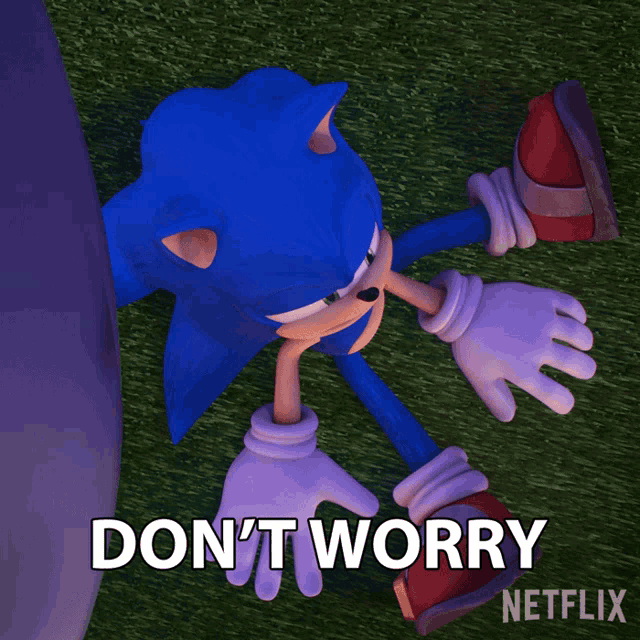 a picture of sonic the hedgehog with the words " do n't worry "