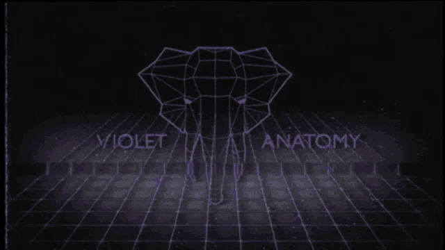 a purple elephant with the words violet anatomy written below it