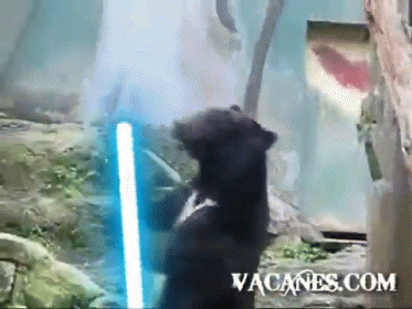 Again! This Time With A Light Saber! GIF - Starwars Bears GIFs