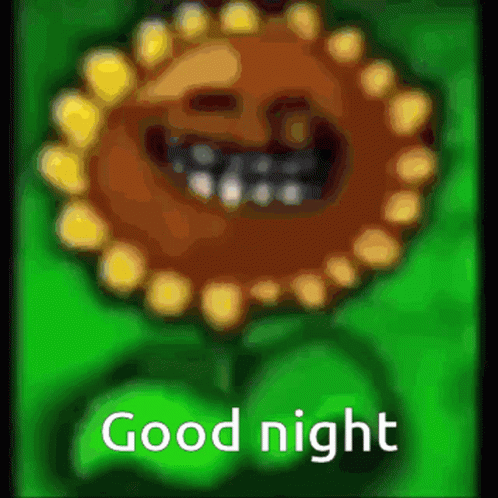 Good Night Meme GIF - Good Night Meme GIFs