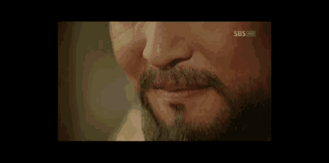 a close up of a man 's face with a beard and sbs hd written on the bottom .