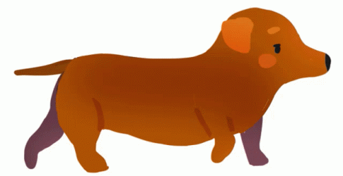 Hotdog Dog Hotdog GIF - Hotdog Dog Hotdog Dog GIFs
