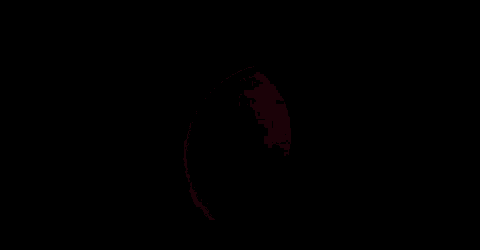 a red full moon is rising in the night sky .