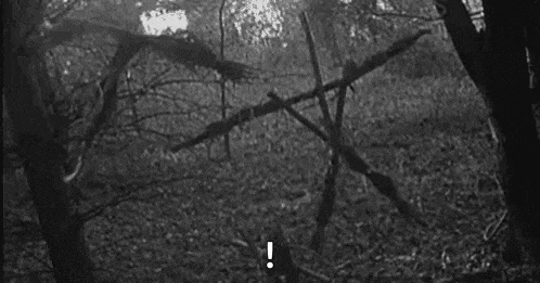 a black and white photo of a forest with trees and leaves and an exclamation mark .