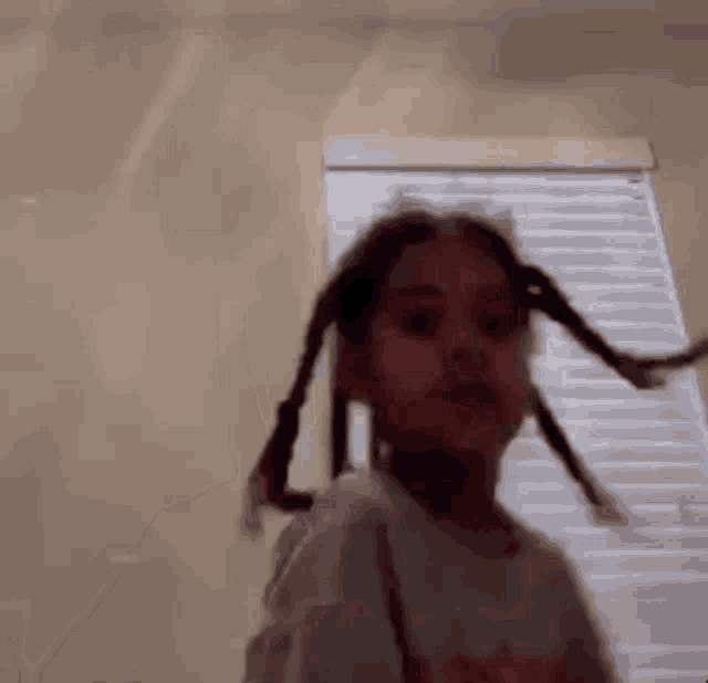 a little girl with pigtails is standing in front of a window in a room .