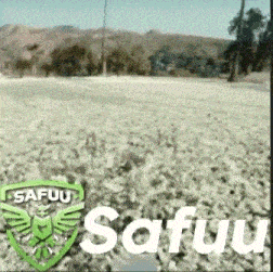the word safuu is on a green shield