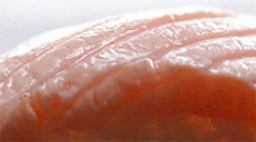 Salmon Fish GIF - Salmon Fish Food GIFs