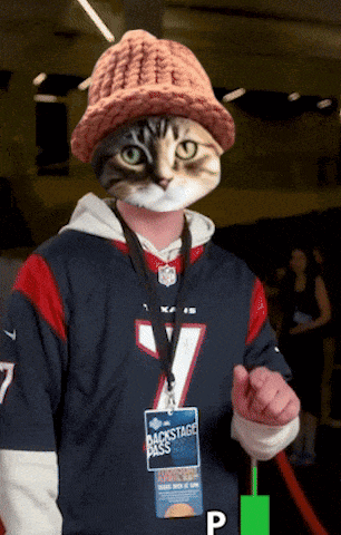 a man with a cat face and a backstage pass on his neck