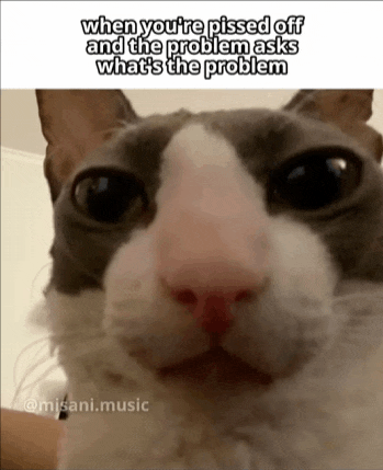 a close up of a cat 's face with the caption when you 're pissed off