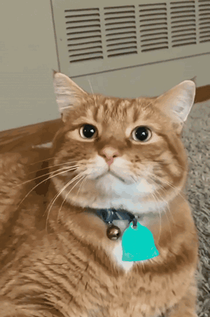 Gato Cat GIF - Gato Cat Gato Meme GIFs