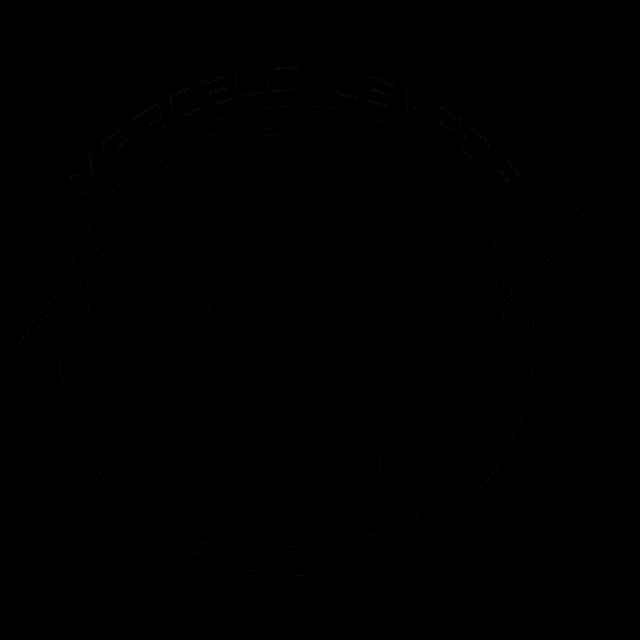 a logo for marcelo levada jiu-jitsu shows a spartan helmet