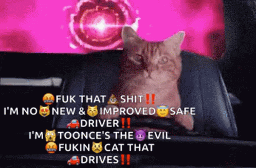 Cat Driving GIF - Cat Driving Going Home GIFs